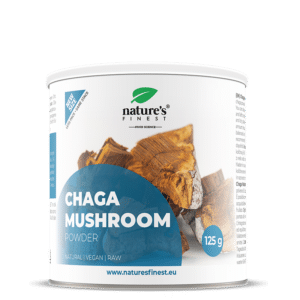 Chaga Sēne pulveris