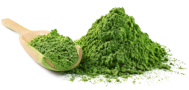 Hlorella