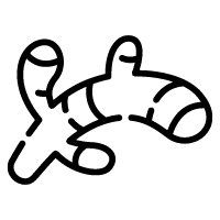 BUJ