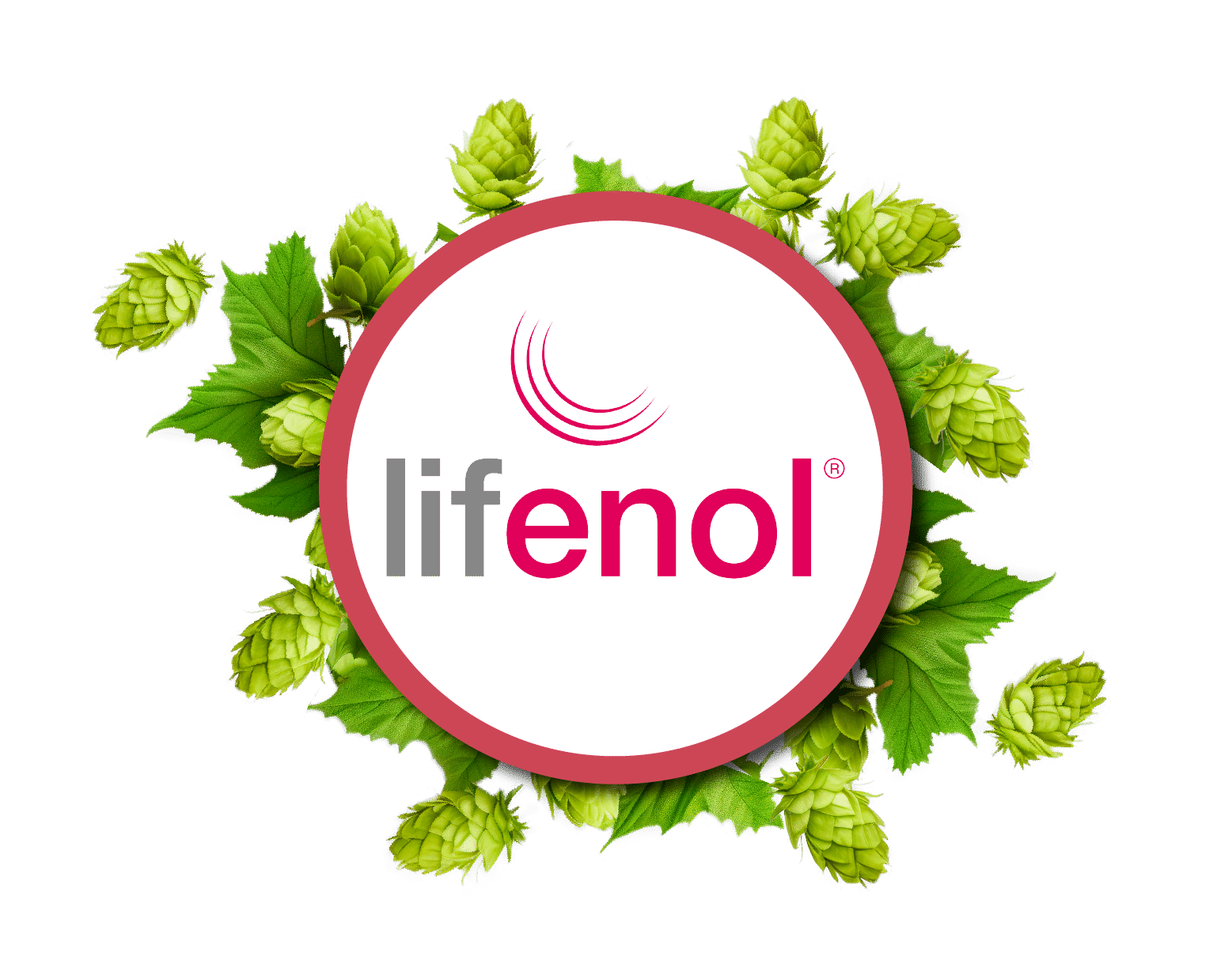 Produkta opcijas attēls