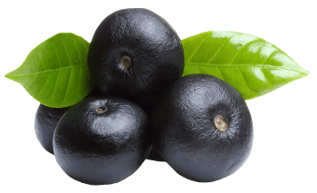 Acai ogas