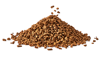 Šķīstošā kafija (Coffea arabica L.)