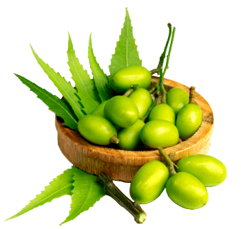 Nīma eļļa