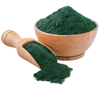 Spirulīna